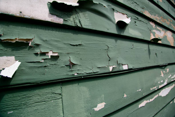  North Muskegon, MI Siding Installation Pros