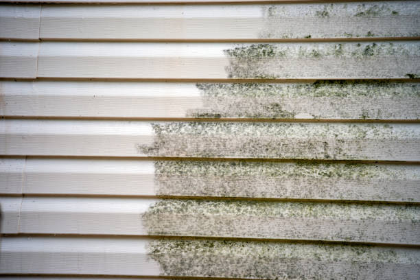 Best Fiber Cement Siding Installation  in North Muskegon, MI
