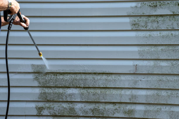 Best Custom Trim and Detailing for Siding  in North Muskegon, MI