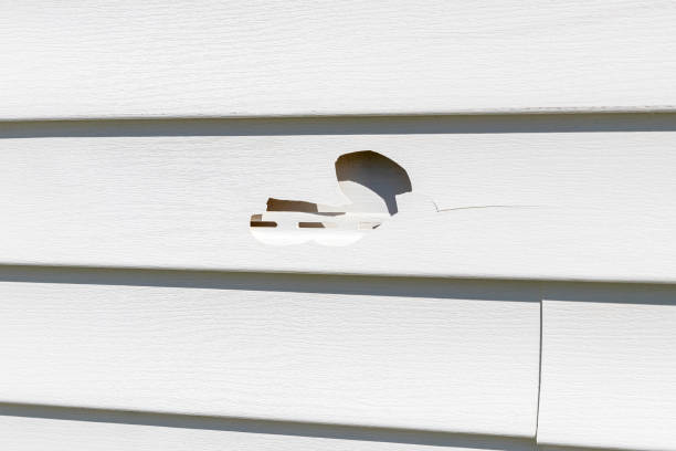 Best James Hardie Siding  in North Muskegon, MI