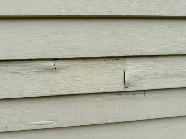 Best Insulated Siding Installation  in North Muskegon, MI